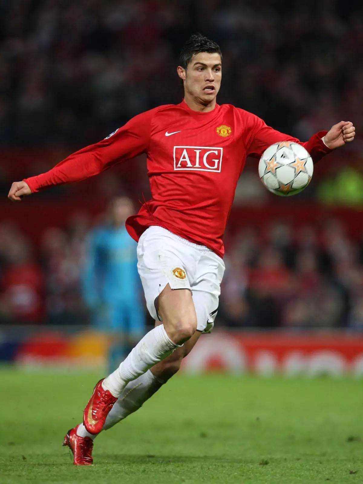 他们的新援 他们的新援