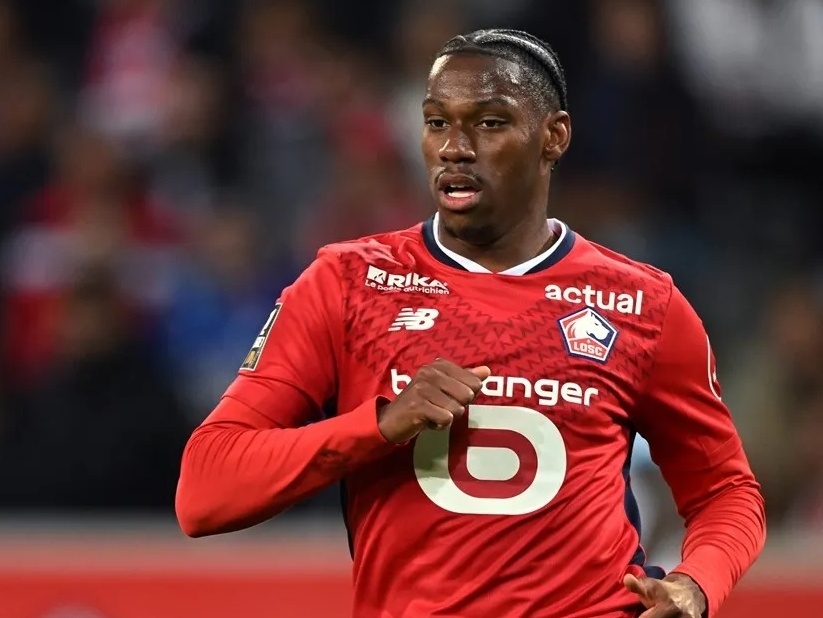 迅速成为足 迅速成为足