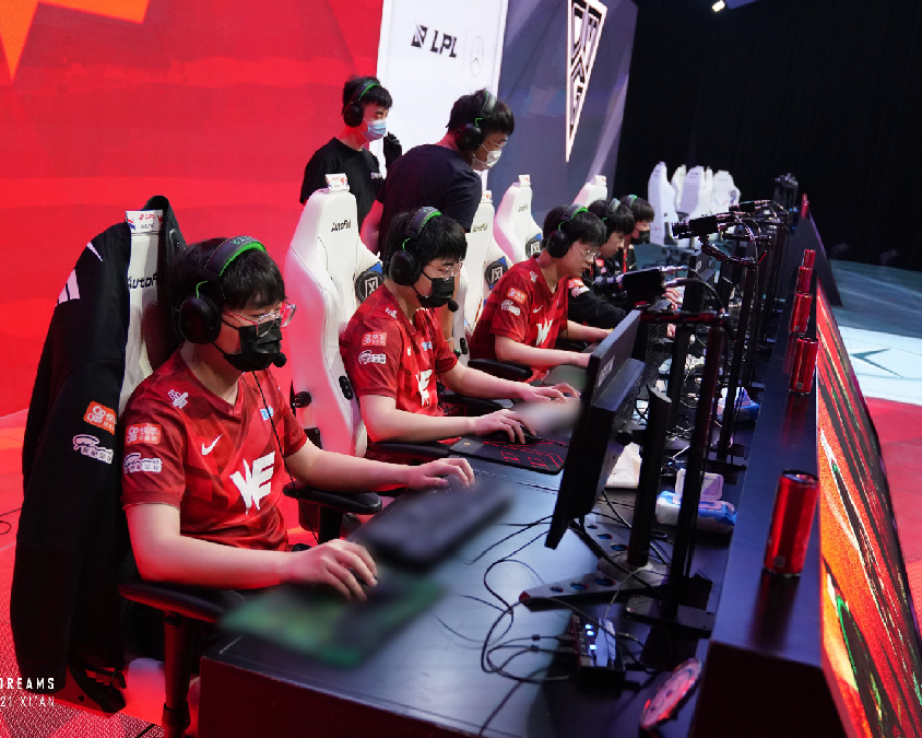 在草地上的 在草地上的